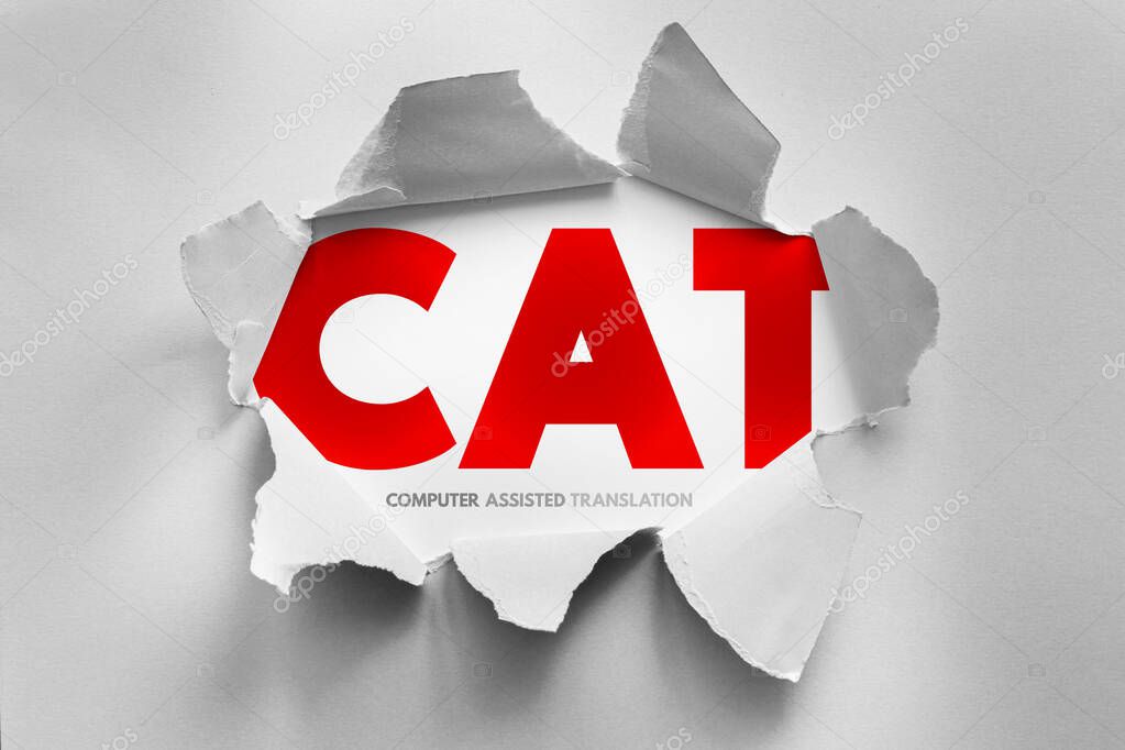 Translator working with CAT tools